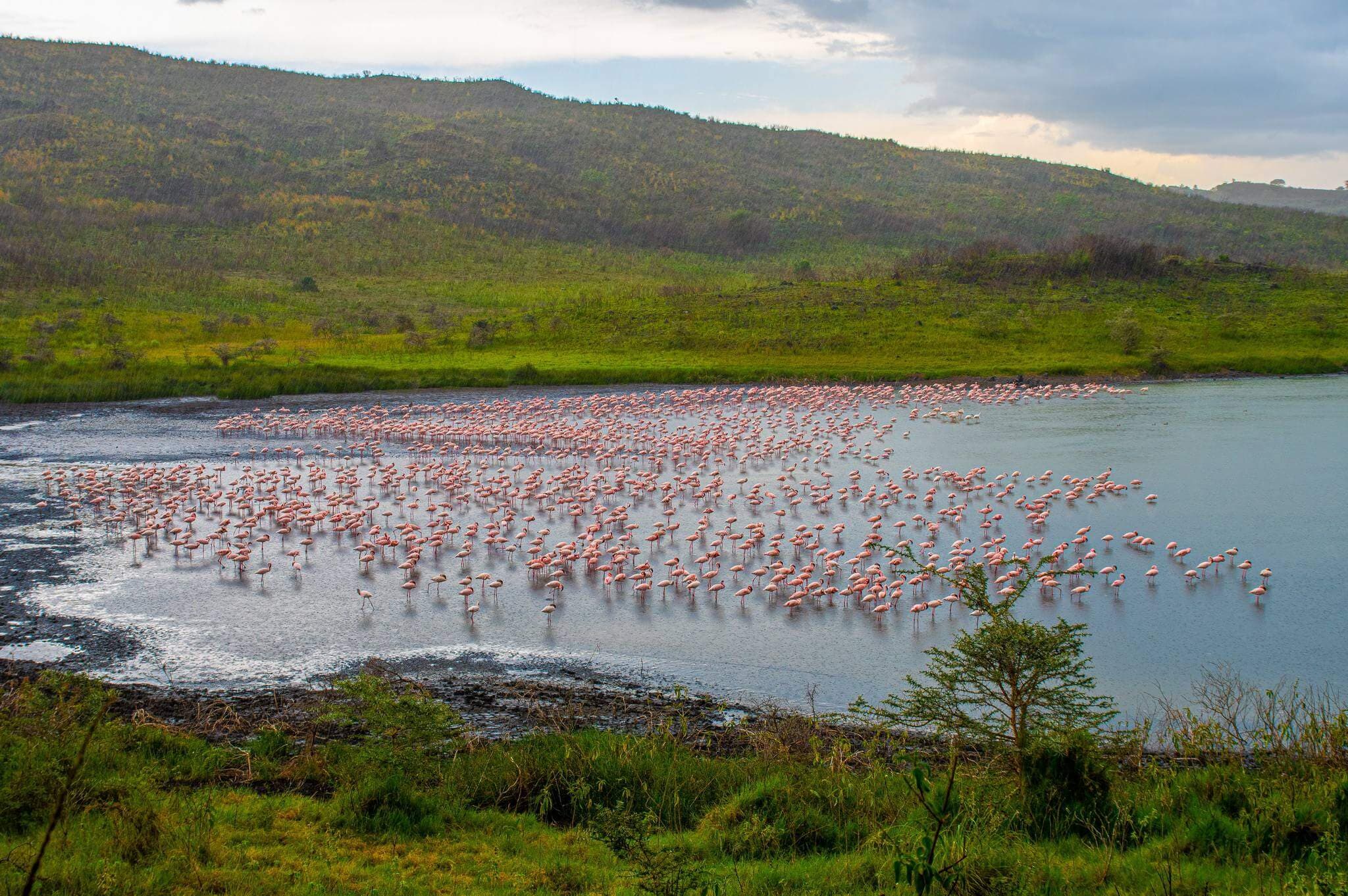 Arusha National Park 1