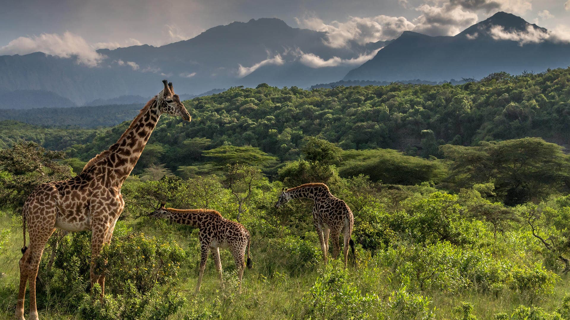 Arusha National Park 2