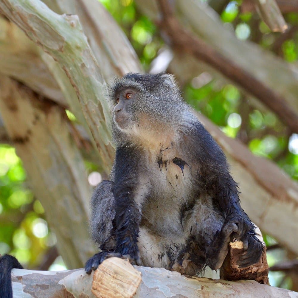 Lake Manyara National Park 2