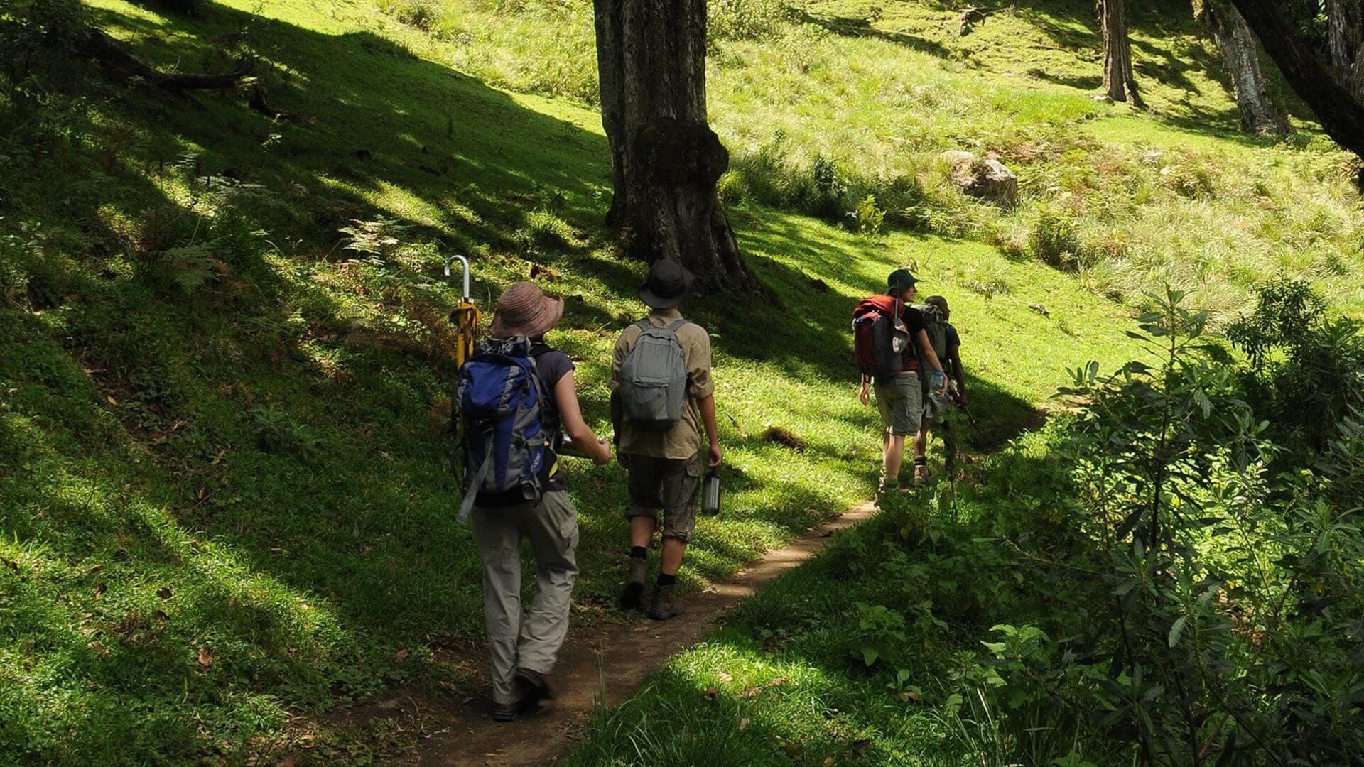 Mount Kilimanjaro National Park 2