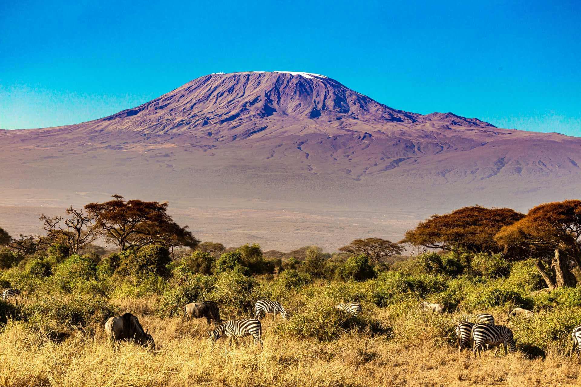 Mount Kilimanjaro National Park 3
