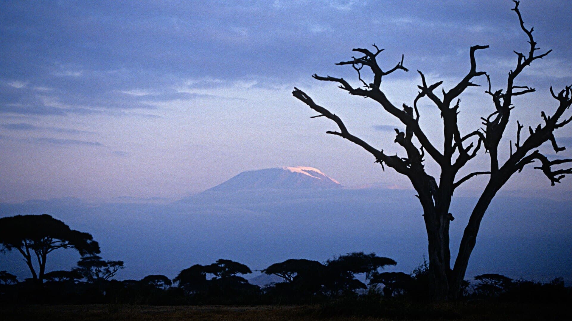 Mount Kilimanjaro National Park
