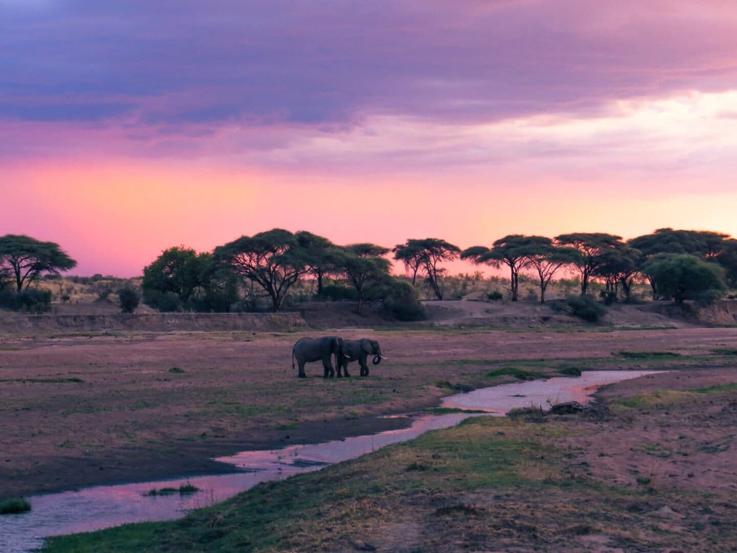 Ruaha National Park 2