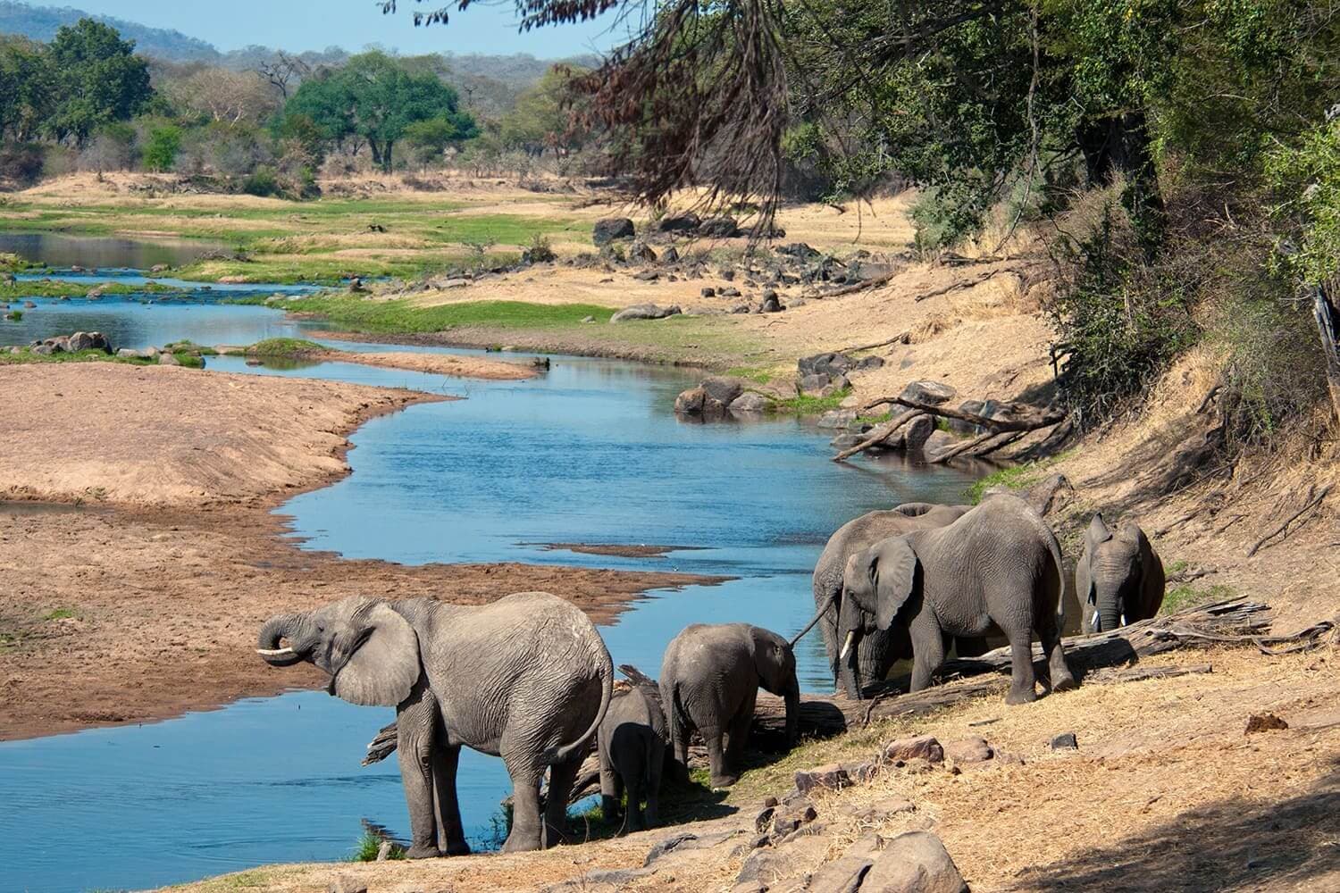 Ruaha National Park 3