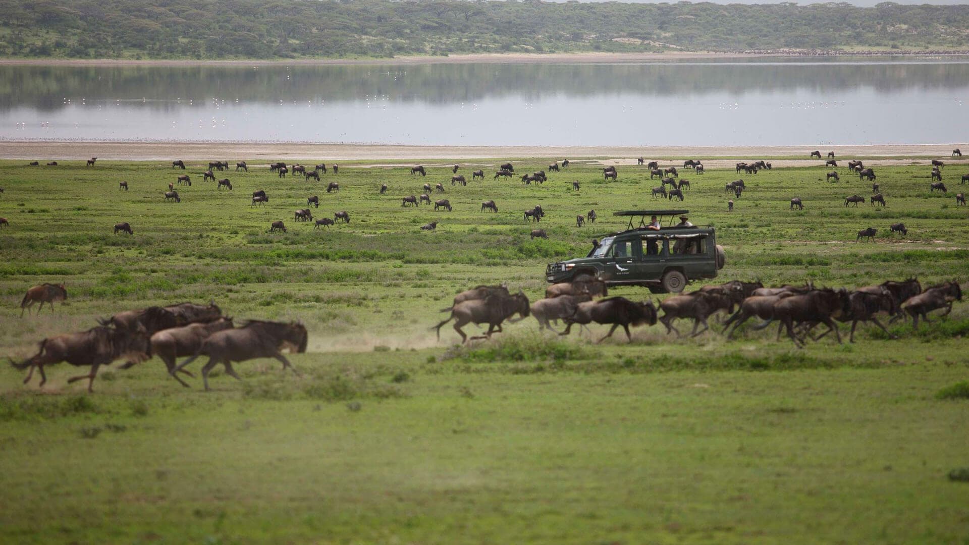 Serengeti National Park 1