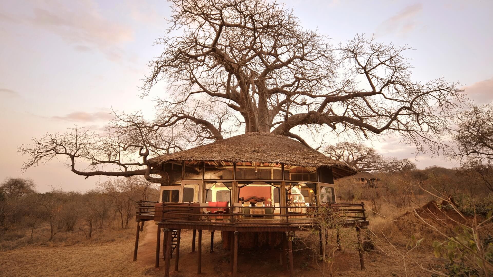 Tarangire National Park 2
