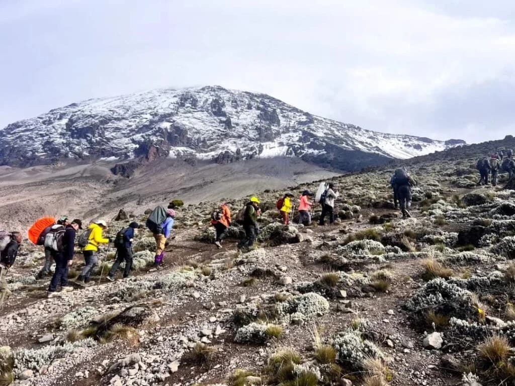 7 Days Machame Route - Mount Kilimanjaro Trekking