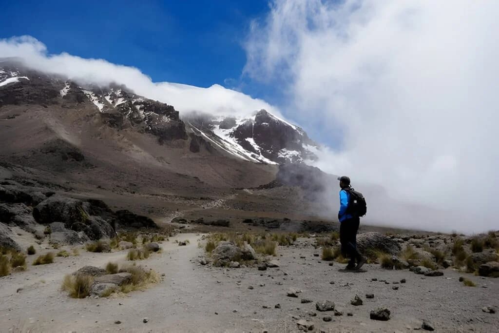 7 Days Machame Route - Mount Kilimanjaro Trekking - Image 2