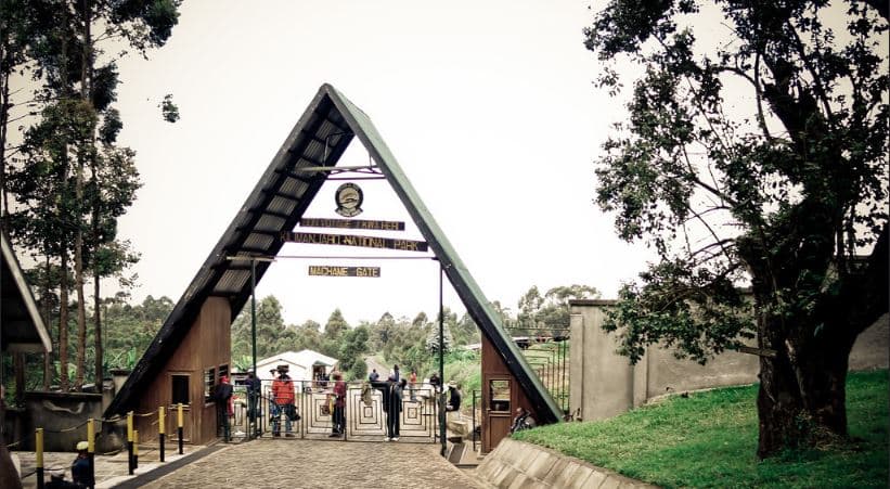 7 Days Machame Route - Mount Kilimanjaro Trekking - Image 3