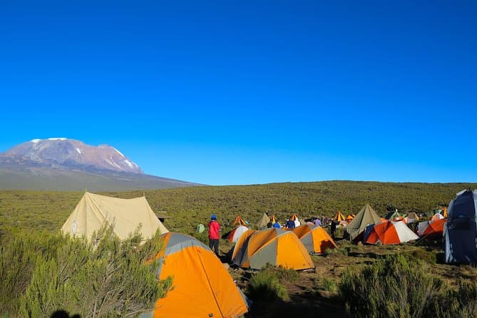 7 Days Machame Route - Mount Kilimanjaro Trekking - Image 4