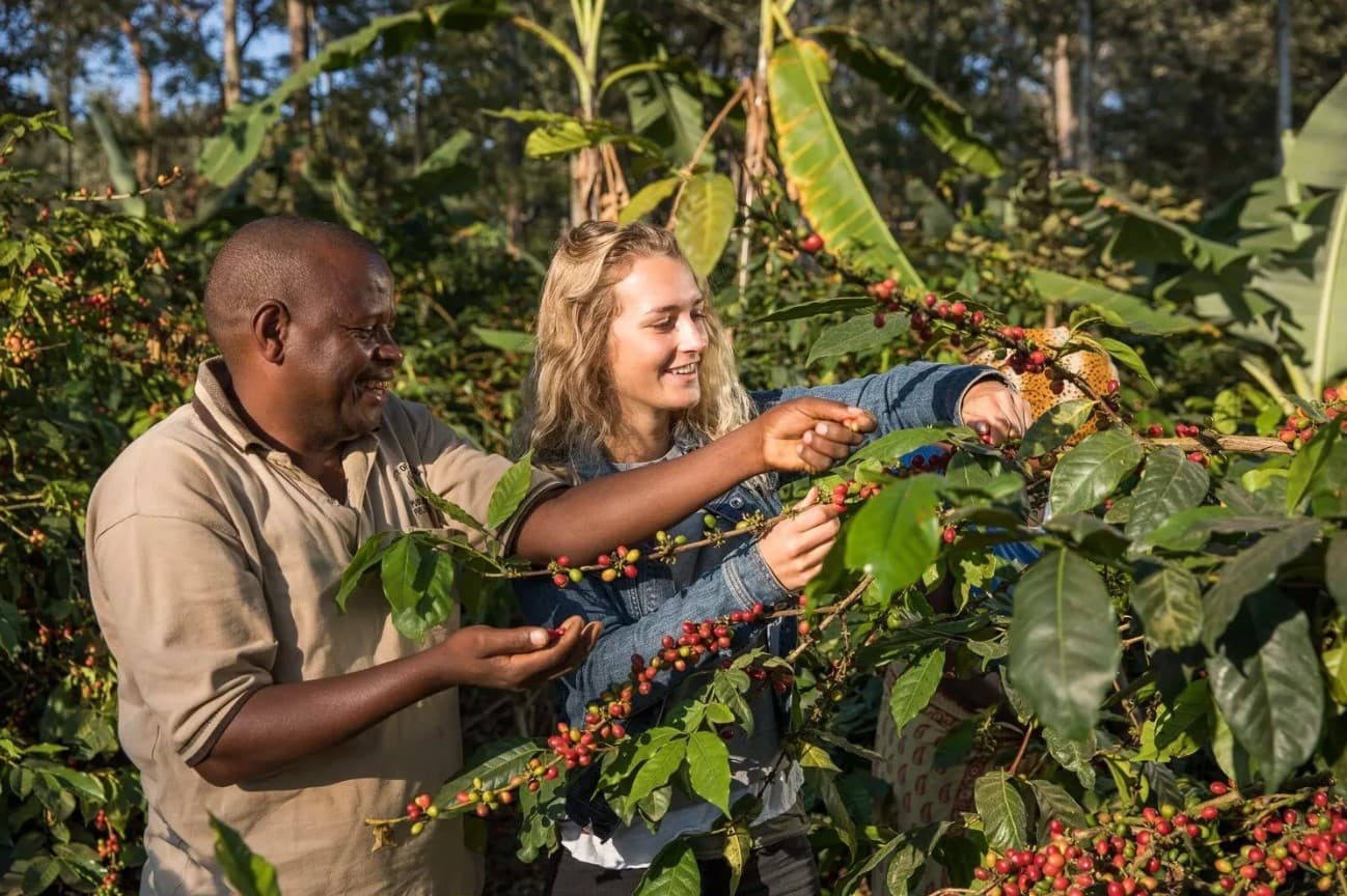 Materuni Waterfalls & Coffee Tour