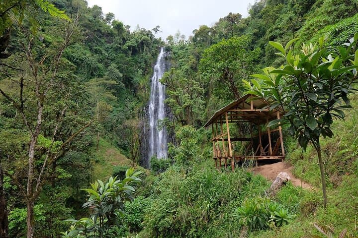 Materuni Waterfalls & Coffee Tour - Image 3