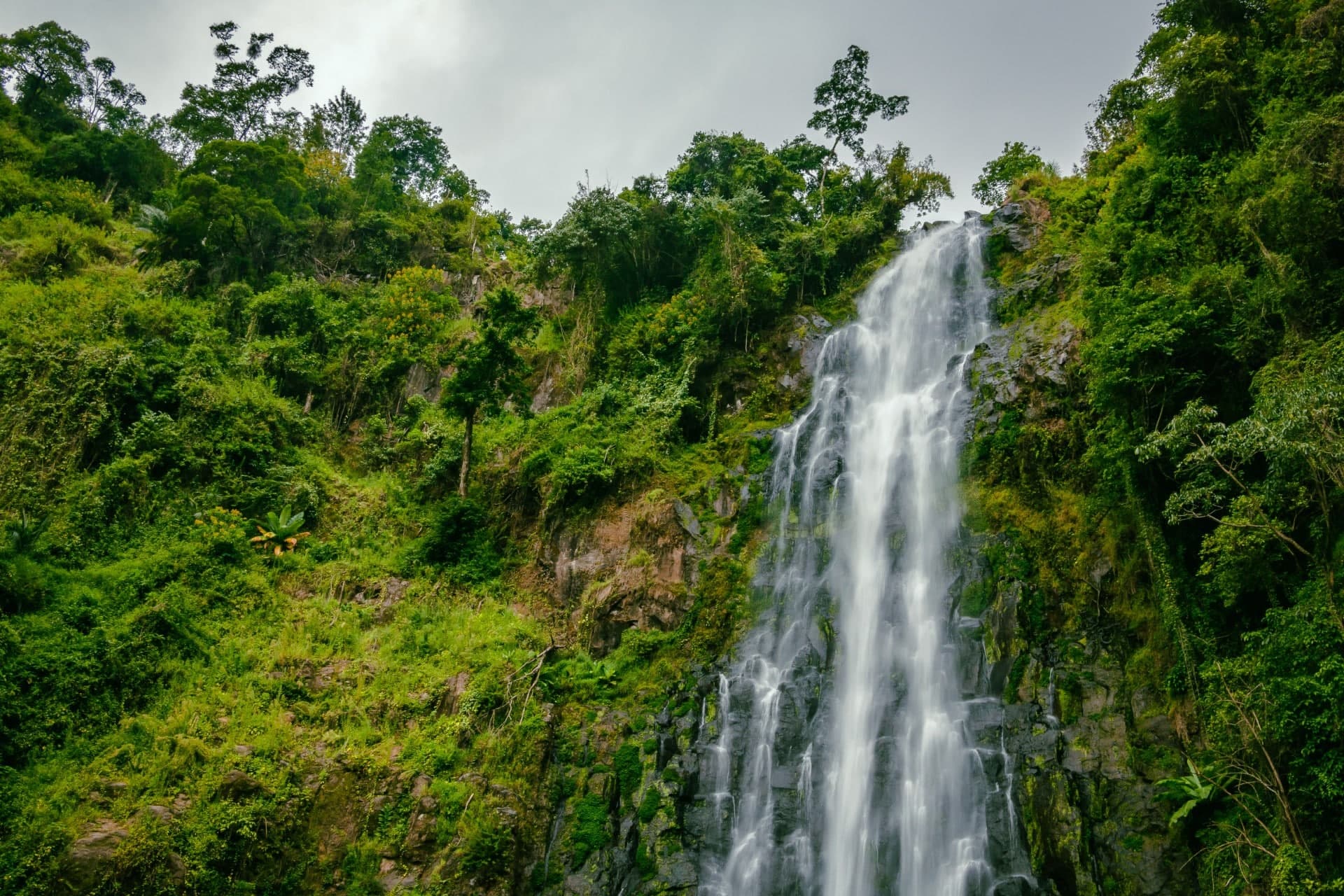 Materuni Waterfalls & Coffee Tour - Image 4