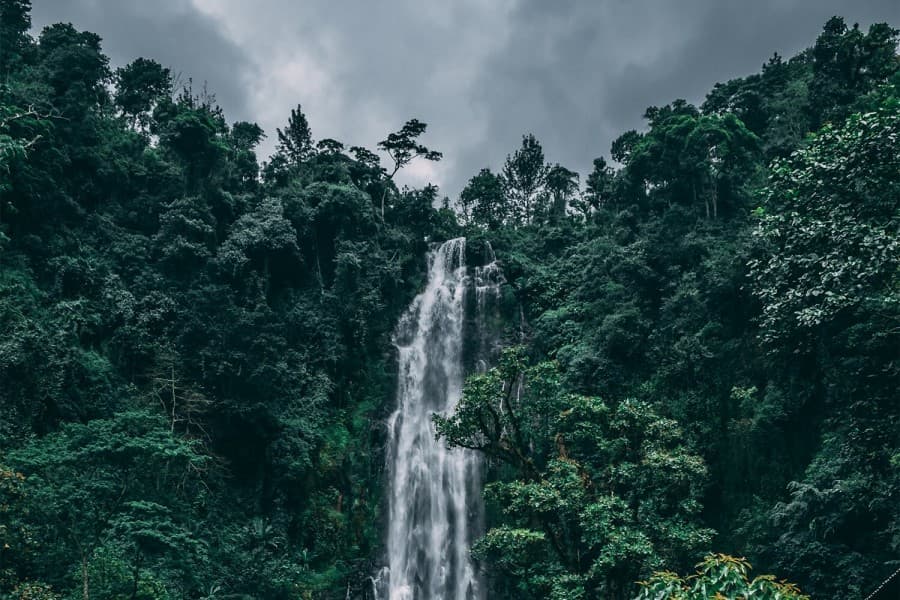 Materuni Waterfalls & Coffee Tour