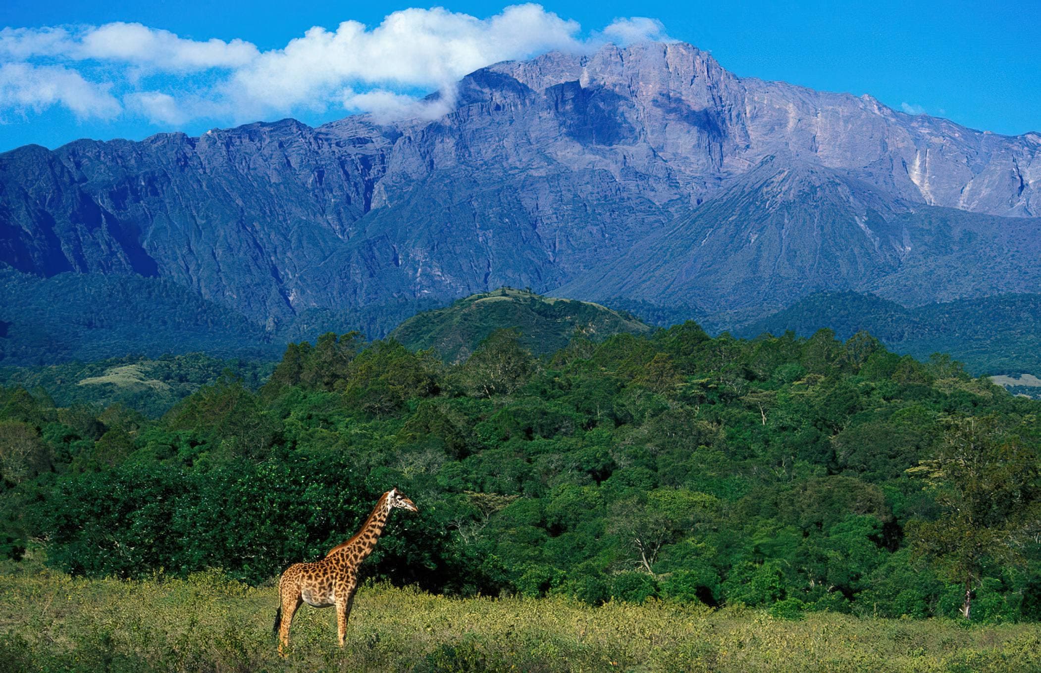 4 Days Mount Meru Trekking
