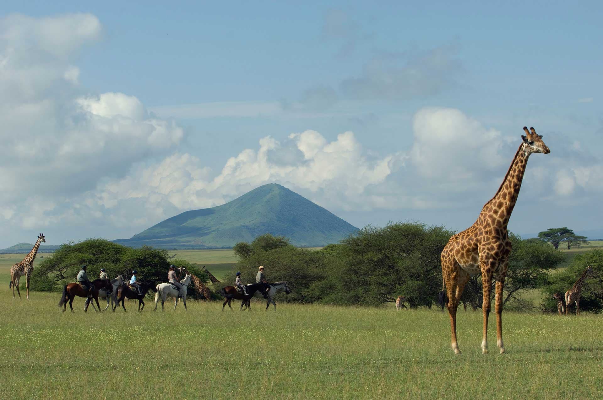 Tanzania's Exquisite 7-Day Safari - Image 2