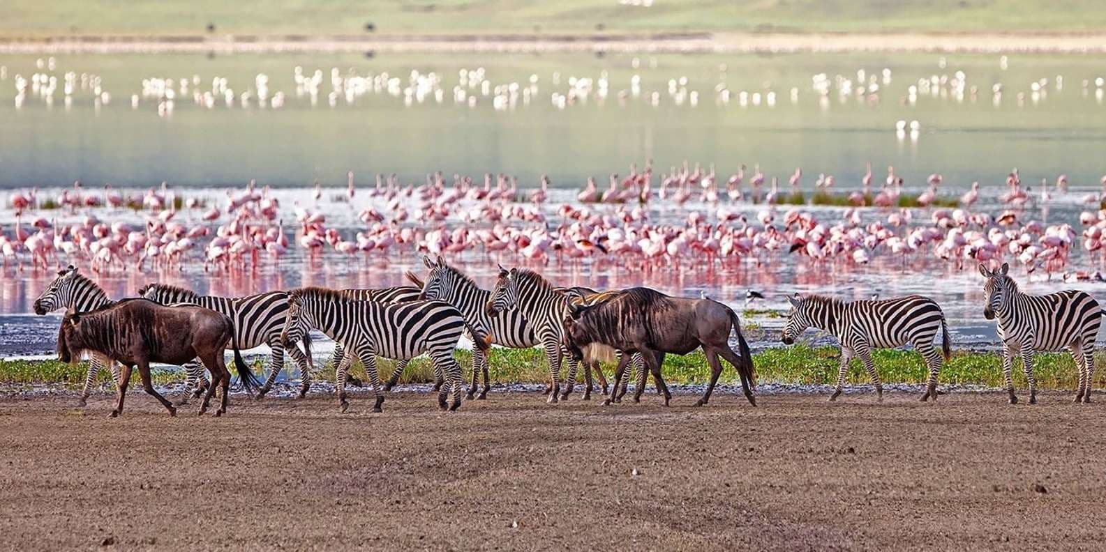 Tanzania's Exquisite 7-Day Safari - Image 3