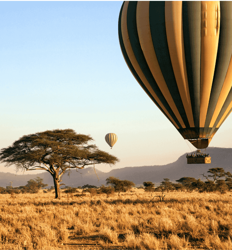 Tanzania Luxury 5-Day Safari - Image 3