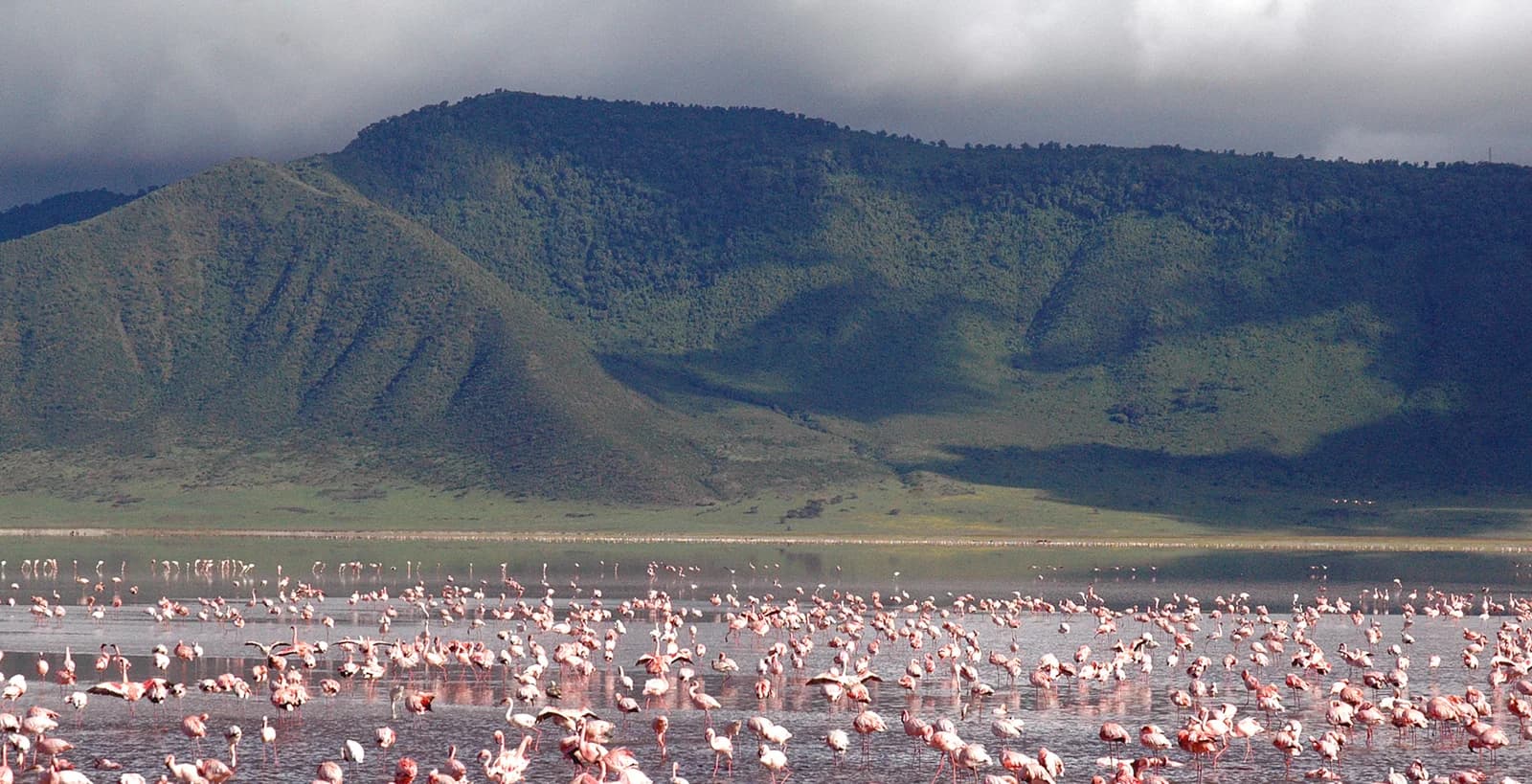 6-Day Midrange Tanzania Safari - Image 2