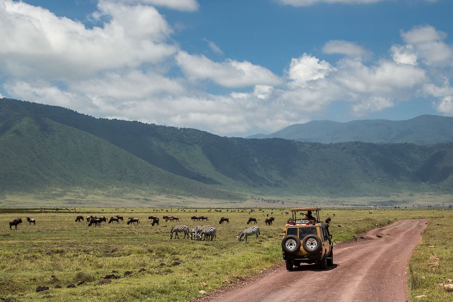 6-Day Midrange Tanzania Safari