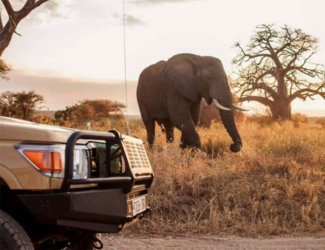 Tarangire National Park Daytrip - Image 2