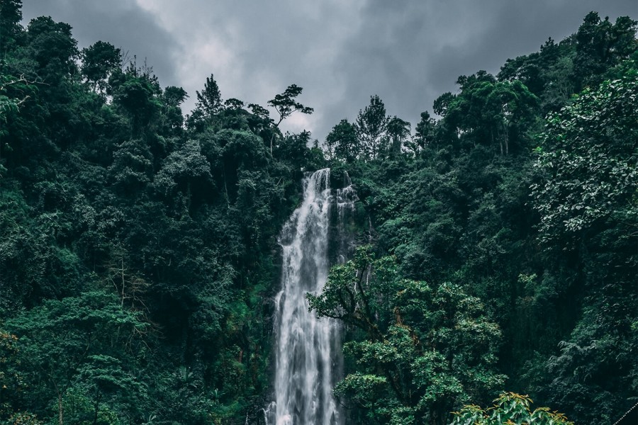 Materuni Waterfalls & Coffee Tour